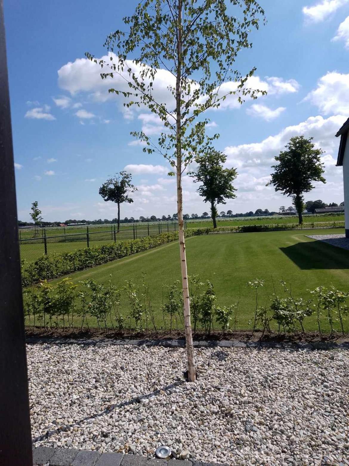 Ut Witte Huisje Venhorst ภายนอก รูปภาพ