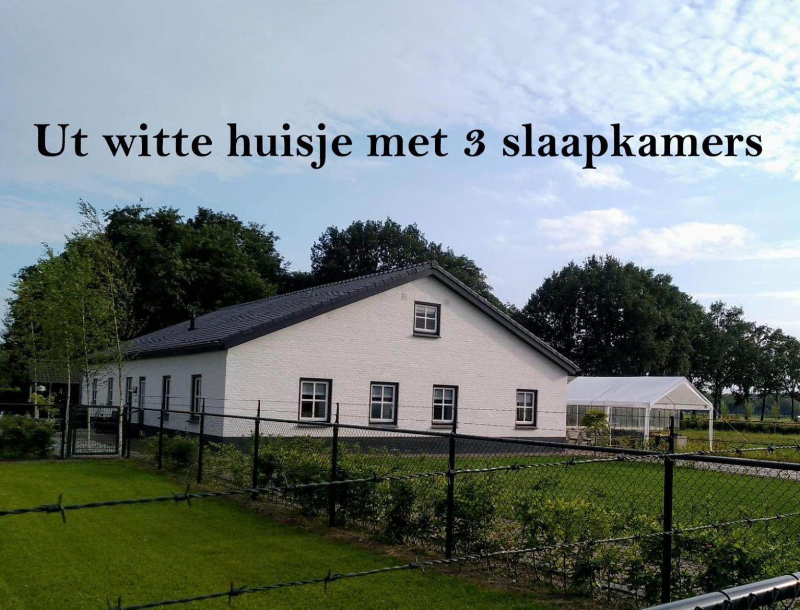 Ut Witte Huisje Venhorst ภายนอก รูปภาพ