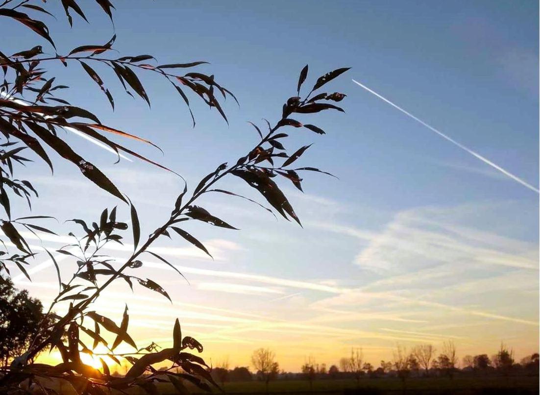 Ut Witte Huisje Venhorst ภายนอก รูปภาพ